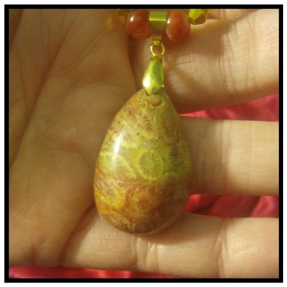 Natural fossil necklace Sea coral fossil - Picture 2 of 7